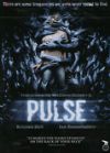 Pulse