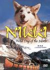 Nikki - vildhunden