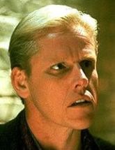 Gary Busey